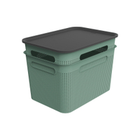 Rotho BRISEN Boxen mit Deckel 16 Liter,  3-teilig 1038805092,  2 Boxen,  Farbe: Mistletoe green