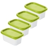 Rotho DOMINO Gefrierdosen,  lime grün 1755005070,  1 Set = 4 x 0, 2 Liter