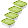 Rotho DOMINO Gefrierdosen,  lime grün 1755105070,  1 Set = 4 x 0, 5 Liter