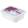 Rotho DOMINO Gefrierdosen Set 1755110234,  Füllmenge: 500 ml,  4-teilig