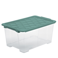 Rotho EVO SAFE Box mit Deckel,  mistletoe green 1008105092,  Fassungsvermögen: 44 Liter
