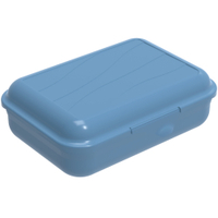 Rotho FUN Vesperbox,  Horizon Blue 1111806161,  Fassungsvermögen: 0, 9 Liter,  S