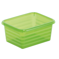 Rotho LINUS Formatkörbchen,  A7 1719105519,  Farbe: grün
