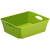 Rotho LIVING Box,  1 Liter 1112605519,  Farbe: grün