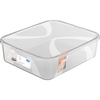 Rotho LONA Aufbewahrungsbox mit Deckel,  transparent 1046800096,  Füllmenge: 12 Liter