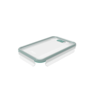 Rotho PAGAMALU Kunststoff Deckel 1028705092,  Mistletoe green,  groß