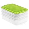 Rotho RONDO Foodcenter 1702805503,  1 x 1, 35 Liter,  2 x 750 ml + Deckel,  Farbe: apple grün