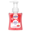 SAGROTAN Samt-Schaum Handwaschschaum,  250 ml 3028057,  Kirschblüte & Rose