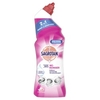 SAGROTAN WC-Reiniger 3040936,  0, 75 Liter - Flasche,  Blütenfrische