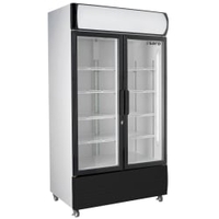 Saro Kühlschrank GTK 580,  doppelverglast 453-1007,  1 Kühlschrank