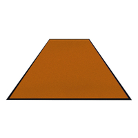 Schmutzfangmatte Colorstar,  gold,  waschbar,  glatter Rücken 7460115180150-C11,  Maße (B x T): 115 x 180 cm
