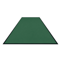 Schmutzfangmatte Colorstar,  lichtgrün,  waschbar,  glatter Rücken 7460200300150-C66,  Maße (B x T): 200 x 300 cm