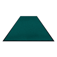 Schmutzfangmatte Colorstar,  pastellgrün,  waschbar 7460115200150-C18,  Maße (B x T): 115 x 200 cm,  glatter Rücken