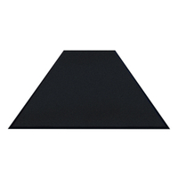 Schmutzfangmatte Colorstar,  schwarz,  waschbar,  glatter Rücken 7460150250150-C06,  Maße (B x T): 150 x 250 cm