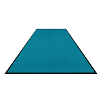 Schmutzfangmatte Colorstar,  seeblau,  waschbar,  glatter Rücken 746085115150-C21,  Maße (B x T): 85 x 115 cm