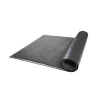 Schmutzfangmatte Optibrush,  anthrazit,  genoppter Rücken 7418085300640-B312,  Maße (B x T): 85 x 300 cm
