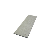 SCHNEIDER Sahara light Auslageplatte 226890,  Maße (L x B x H): 530 x 162 x 6 mm,  GN 2/4