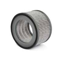SOEHNLE AirFresh Clean 400 Ersatzfilter 68129,  1 Stück