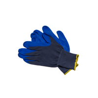 SolidSafety Food Protect Schutzhandschuh 081002-9,  1 Packung = 6 Paar,  9