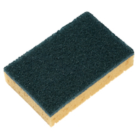 Spontex Astree 54 Scheuerschwamm,  grün-braun Astree54,  1 Karton = 6 Packungen à 10 Schwämme
