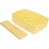 Spontex Quellschwamm,  waschbar bis 95 °C 33210033,  1 Packung = 10 Quellschwämme