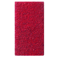 TASKI Twister Handpad,  12, 5 x 25 cm 752135,  1 Packung = 2 Pads,  Farbe: Rot