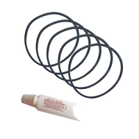 UNGER nLite Hydro Power DI Dichtungs-Set DISKT,  5 x Dichtungsring und 1 x Pflegelösung
