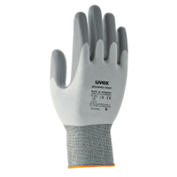 uvex phynomic FOAM Schutzhandschuh 6005006,  1 Packung = 10 Paar,  Größe 6