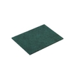 Vileda Professional Handpad,  22 x 15 cm 108817,  1 Packung = 10 Stück,  grün "Strong"