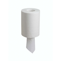 WYPALL L10 Extra Wischtücher,  für Zentralentnahme 7374,  1 Paket = 12 Rollen á 200 Tücher 19 x 38 cm