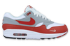 Air Max 1 V8