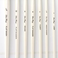 10 stücke Pinsel Set Kit Mehrere Medien Pinsel mit Nylonhaar Tragetasche für Künstler Acryl Aquarell Gouache Ölgemälde für Große Kunst Zeichnung Liefert
