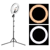 10 Zoll LED Ring Light Studio Videolampe dimmbar 3200-5500K