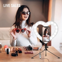 10-Zoll-RGB-Videoleuchte Herzförmiges LED-Fülllicht Dimmbar USB-betrieben mit Telefonhalter Desktop-Stativ für Live-Streaming Online-Video-Selfie-Make-up-Vlog