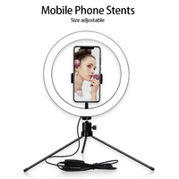 10-Zoll-USB-Ringlichtset LED Make-up Dimmbare Fotolampe mit Schlauch Telefonclip 10 Stufen Helligkeitseinstellung 3 Lichtmodi für Live-Make-up Selfie-Licht