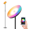 100-240V 24W Wireless WIFI-Anschluss LEDs Stehleuchte (16 Millionen Farben / 20 dynamische Modi)