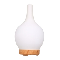 100 ML Haushaltsluftbefeuchter Aromatherapie Ätherisches Öl Diffusor Aroma Diffusor