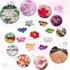 1000 PCS Schön Perfekt Hochzeit Simulation Blumenblätter Romantisch Lebendige künstliche Rose Blume für Hochzeitsparty Dekoration
