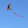 100m Single Line String Stereoskopischen Riesigen Kite für Beach Park Outdoor Spiele