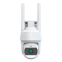 1080P Schwenk-Neige-Überwachungskamera für den Außenbereich Überwachungskamera für den Außenbereich 2MP WiFi-Heimüberwachungskamera CCTV-Kamera mit Farbnachtsicht,  2-Wege-Audio,  Bewegungserkennung,  Fernzugriff,  IP66 wetterfest