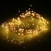 10M / 33ft 100 LEDs Kupfer String Wire Light LED Warm White Starry Licht Voice Activated mit Adapter und Fernbedienung für Weihnachten Hochzeit Geburtstag Feste