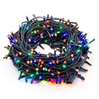 10M 100 Lamp Beads String Light 8 Modi Lichterkette Wasserdichtes Gartenparty-Dekor