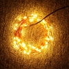 10m 100 LED String Lampe Licht Dekoration Beleuchtung Kupfer für Christmas Party Hochzeit 12V Warm Weiss