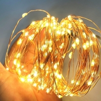 10m warmweiße USB Lichterkette mit Batteriebox Constant Bright 100 Lampenperlen Kupferdraht Romantische Dekoration