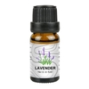 10ml Ocean Pure ätherisches Öl für Luftbefeuchter Aromatherapie Home Bedroom Bar C-Lub Massage