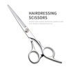 10PCS Haarschneideschere Set Friseurschere Kit Ausdünnende Schere Haarkamm Scherenetui Professioneller Friseursalon Home Shear Kit Für Männer Frauen Haustier