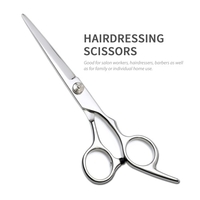 10PCS Haarschneideschere Set Friseurschere Kit Ausdünnende Schere Haarkamm Scherenetui Professioneller Friseursalon Home Shear Kit Für Männer Frauen Haustier
