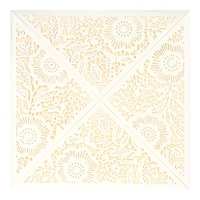 10X Laser-Schnitt romantische Einladung Karten-Set für die Brautdusche Geburtstag Beige Umschlag Hohlkartenhalter Inner Blatt Empfindliche geschnitzten Muster