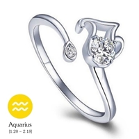 12 Konstellationen Exquisite Glitzernde Retro Liebhaber Ring Frauen Alte Elegante Attraktive Zink-legierung Fingerring