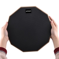 12-Zoll-Drum-Übungspad Stummes Drum-Pad mit Drum-Stick-Tragetasche für Anfänger